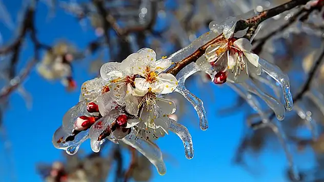 Meteoroloji'den Konya, Karaman, Aksaray ve Niğde için fırtına ve zirai don uyarısı!