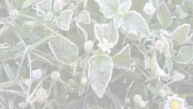 Meteoroloji'den Konya ve çevresine uyarı