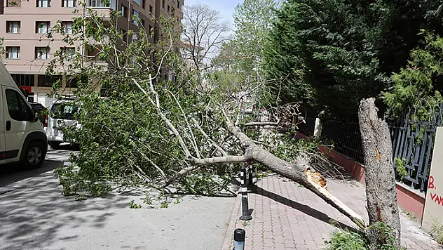 Meteoroloji'den Konya'ya 2 gün saatte 60 kilometre hızında fırtına uyarısı
