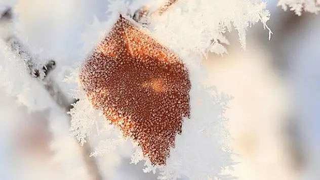 Meteoroloji Konya için saat verdi! Kar ve  zirai don uyarısı