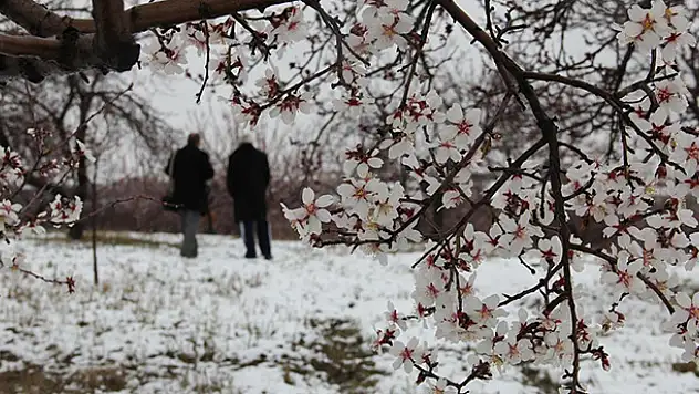 Meteorolojiden Konya'ya zirai don uyarısı