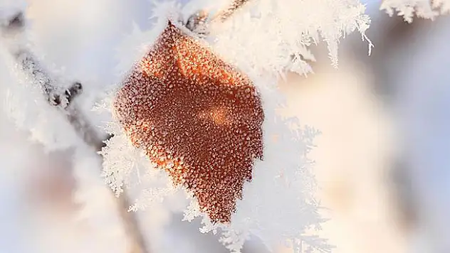 Meteorolojiden zirai don uyarısı
