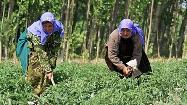 Mevsimlik tarım işçileri genelgesi yayımlandı