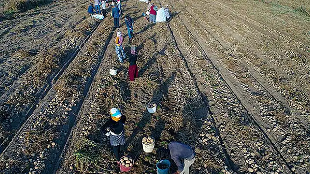 Mevsimlik tarım işçileri için 'Kovid-19' tedbiri