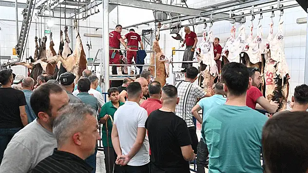 Mezbahada 250 büyükbaş kurban kesimi gerçekleştirildi