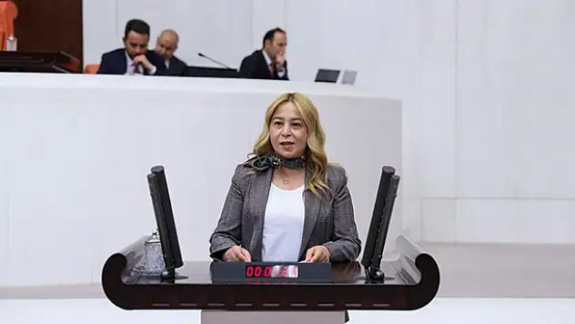 MHP Konya Milletvekili Esin Kara'dan Bakan Pakdemirli'ye soru önergesi