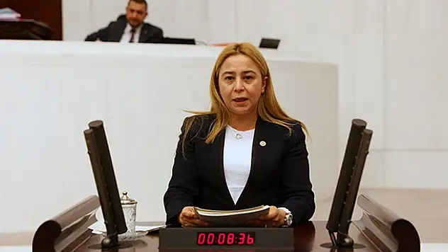 MHP Konya Milletvekili Esin Kara, mali reform istedi