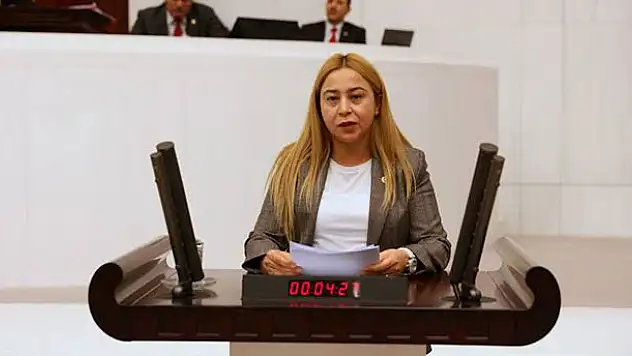 MHP Konya Milletvekili Kara, köyden kente göç sorununu Meclis'e taşıdı
