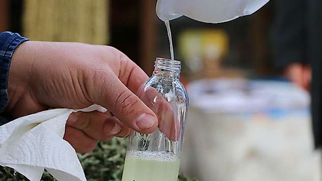Mikroplara nane ve çam terebentin yağı çözümü