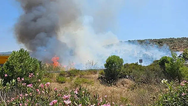 Milas-Bodrum Havalimanı yolunda ormanlık alanda çıkan yangına müdahale ediliyor

