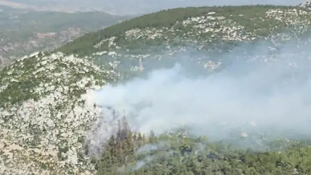 Milas'ta ormanlık alanda yangın başladı
