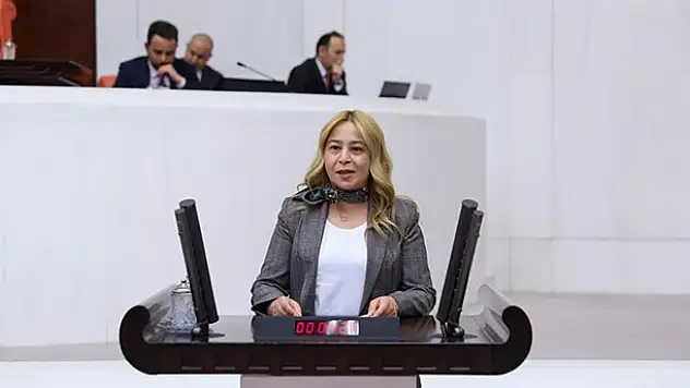 Milletvekili Esin Kara okullardaki ölümleri meclis gündemine taşıdı