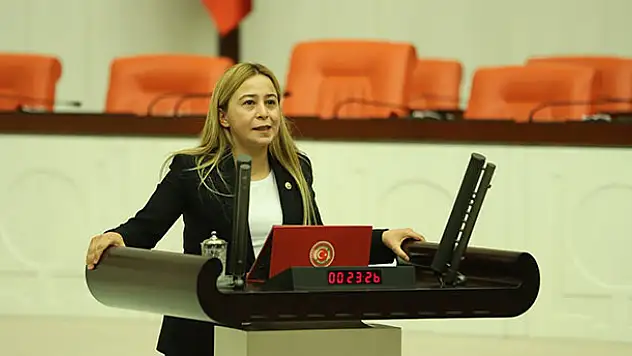 Milletvekili Kara: 'Suça sürüklenen çocukların sorunları incelenmeli'