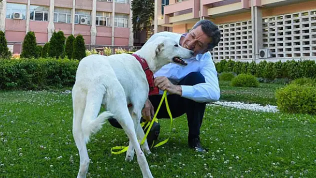 Milli Eğitim Bakanı Ziya Selçuk paylaştı okullarda yeni dönem