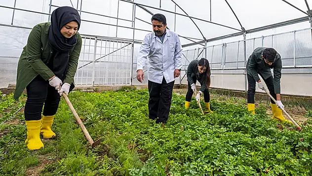 Milli Eğitim Bakanlığından tarım liseleri hamlesi
