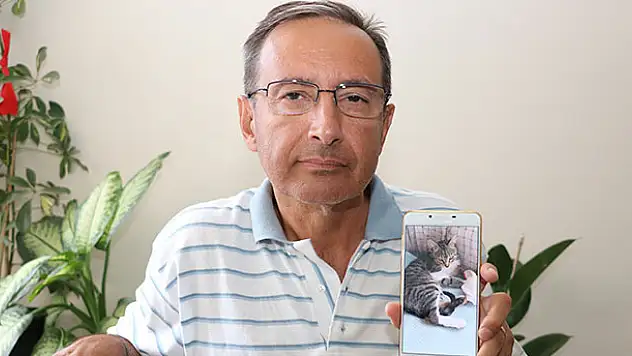 Minik dostlarını bulana ödül verecekler
