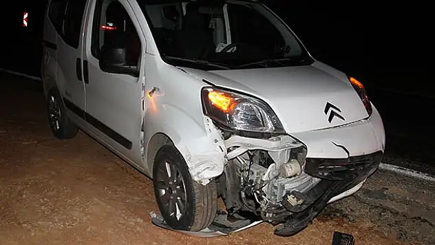 Minivanın çarptığı 10 yaban domuzu telef oldu