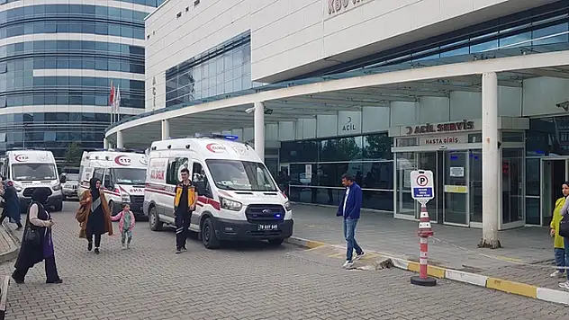 Mısır bahçesinde domuz zannettiği yengesini av tüfeğiyle yüzünden vurdu!
