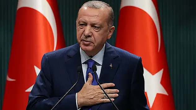 Mısır'dan Başkan Erdoğan'a D-8 teşekkürü
