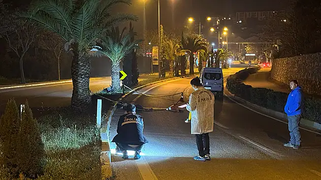 Motosikletle ağaca çarpan tıp fakültesi öğrencisi hayatını kaybetti