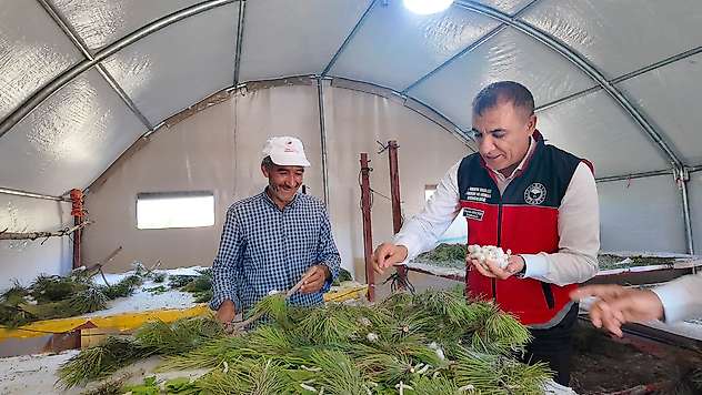 Müdür Seçen'den ipekböceği üreticisine ziyaret