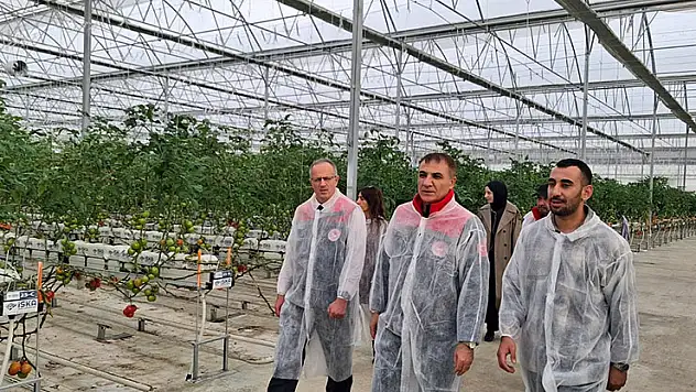 Müdür Seçen, topraksız üretim serasını inceledi
