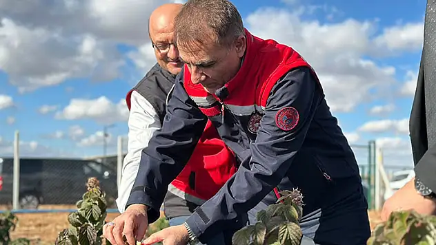 Müdür Seçen, üretici ziyaretlerine devam ediyor