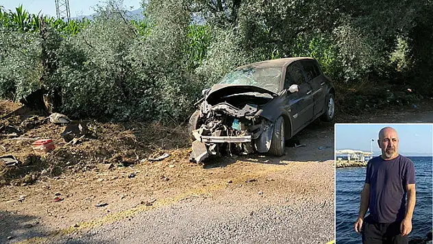 Muğla'da ağaca çarpan otomobilin sürücüsü öldü
