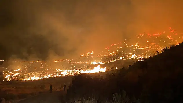 Muğla'da çıkan orman yangını söndürüldü
