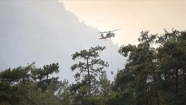 Muğla'da çıkan orman yangınına müdahale ediliyor
