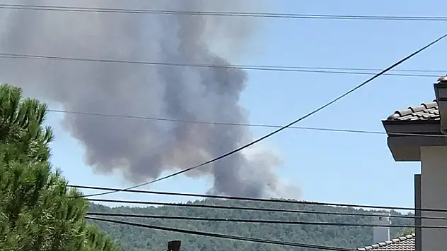 Muğla'da eş zamanlı orman yangını
