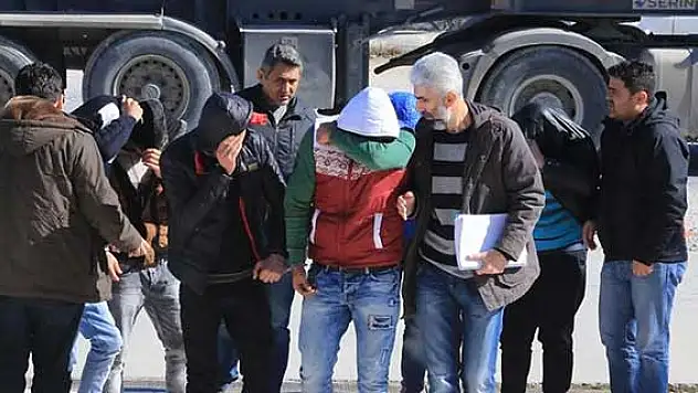 Muğla'da hırsızlık iddiası