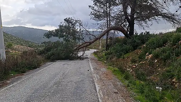 Muğla'da kuvvetli rüzgar ve sağanak etkili oluyor
