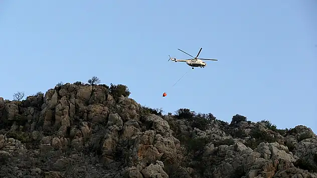 Muğla'da makilik alanda çıkan yangın kontrol altına alındı
