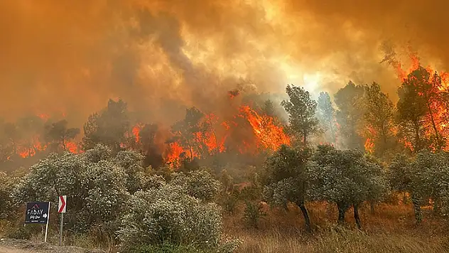 Muğla'da orman yangını

