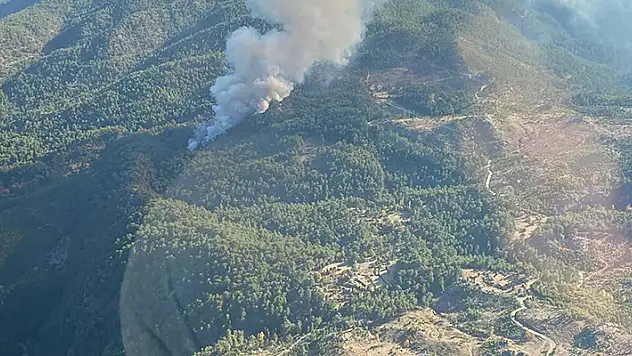 Muğla'da orman yangını