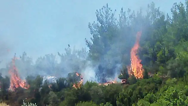 Muğla'da orman yangını başladı
