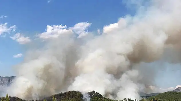 Muğla'daki orman yangını sürüyor! Konya'dan da ekip gitti
