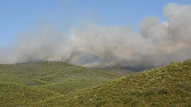 Muğla'daki orman yangınları kısmen kontrol altına alındı