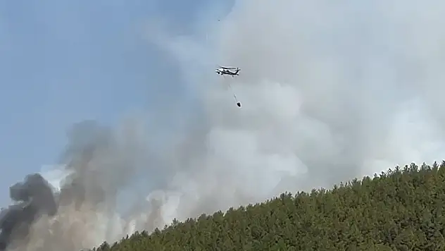 Muğla'daki yangınlara 20 hava aracıyla müdahale ediliyor
