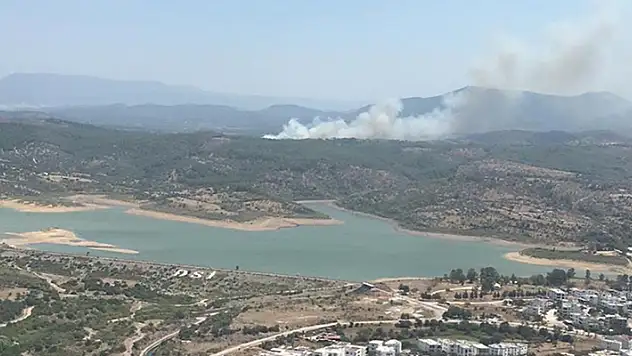 Muğla'nın Milas ilçesinde orman yangını çıktı
