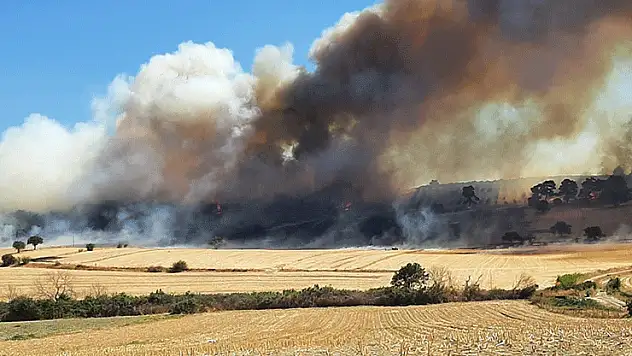 Muğla ve Antalya'daki orman yangınları kontrol altına alındı, Çanakkale'de müdahale sürüyor