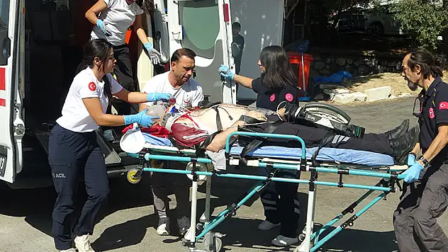 Muğla'da güvenlik görevlisi başından vurulmuş halde bulundu