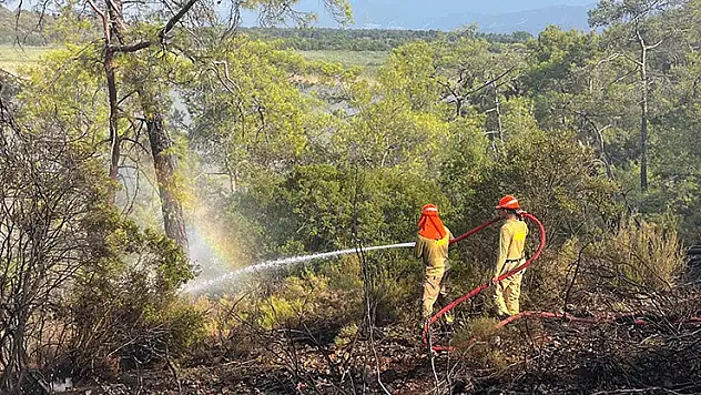 Muğla'daki ormanı yangını 2,5 saate kontrol altına alındı