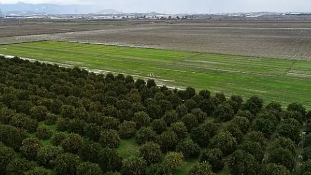 Müjde geldi! O süre uzatıldı