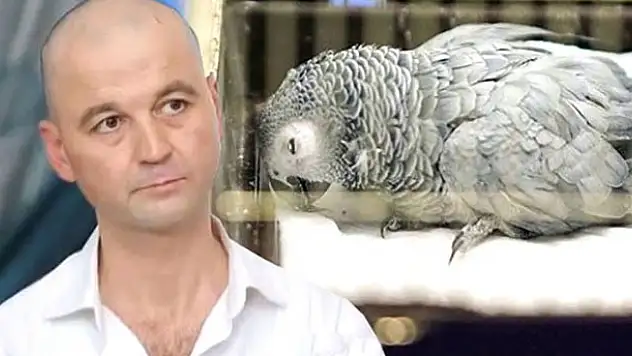 Murat Özdemir'in eziyet ettiği papağan öldü