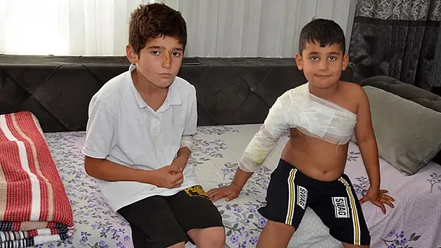 Muş'ta 2 kardeş sahipsiz köpeklerin saldırısı sonucu yaralandı
