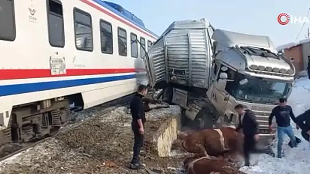 Muş'ta hayvan yüklü tıra tren çarptı: Ölü ve yaralılar var
