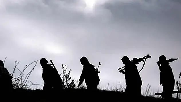 Muş'ta PKK'ya ağır darbe