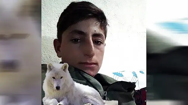 Muş'ta iş kazası: 20 yaşındaki genç hayatını kaybetti